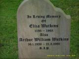 image of grave number 100065